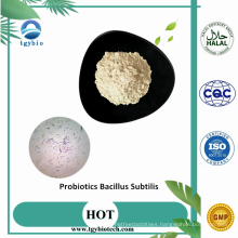 Supply Animal Supplement Probiotics Bacillus Subtilis